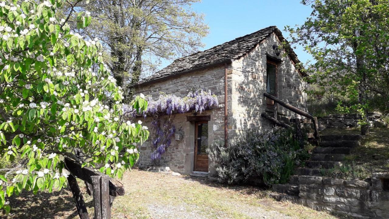 Ca' D'Alfieri Villa Bardi Exteriör bild