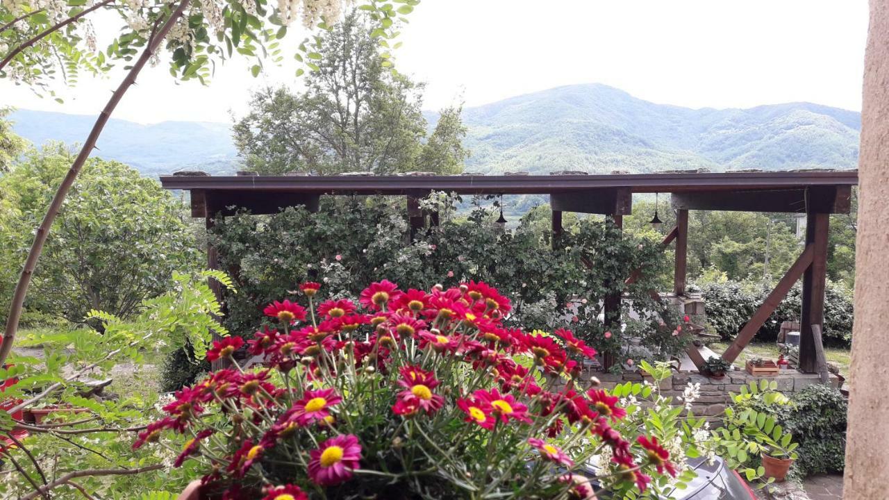 Ca' D'Alfieri Villa Bardi Exteriör bild